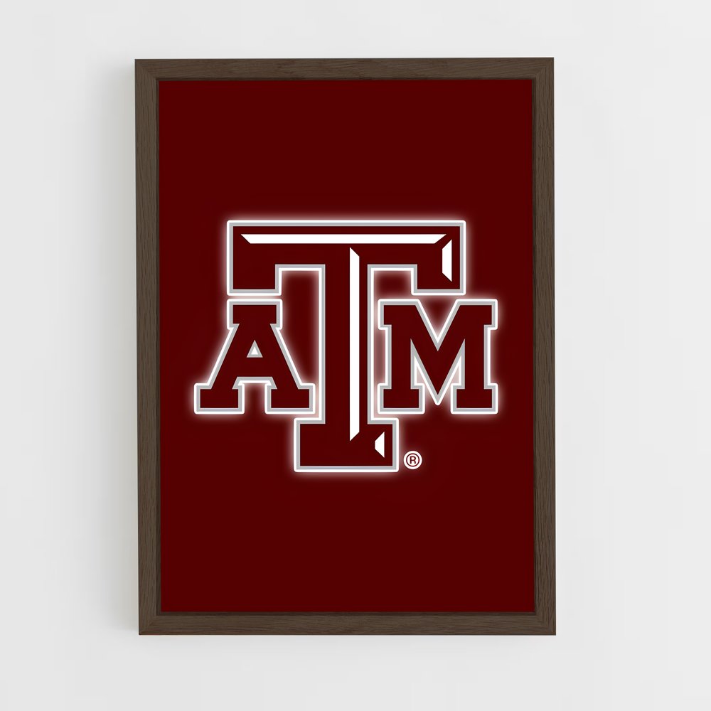 Poster Aggieland Dreams – affiche Baseball (vue 5)